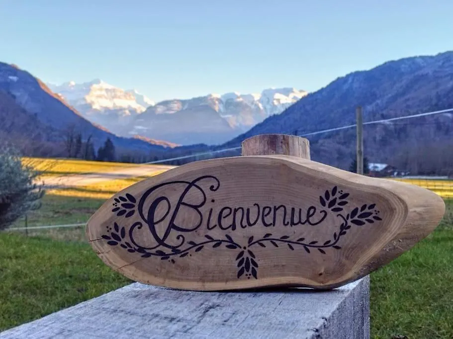 Elegant Studio Tout Confort Vue Mont Blanc Saint-Jeoire